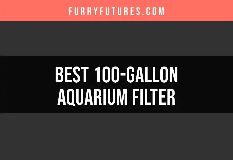 13 Best 100-Gallon Aquarium Filters for Crystal Clear Water