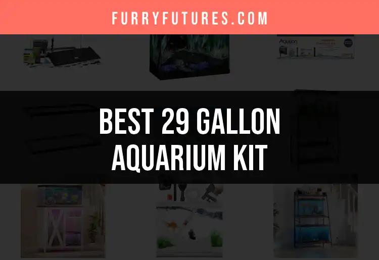 16 Best 29 Gallon Aquarium Kits for Happy Aquatic Life