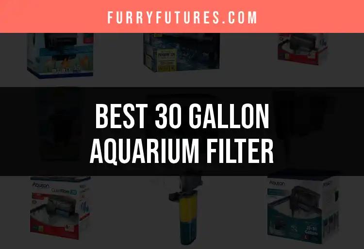 13 Best 30 Gallon Aquarium Filters for Sparkling Clarity