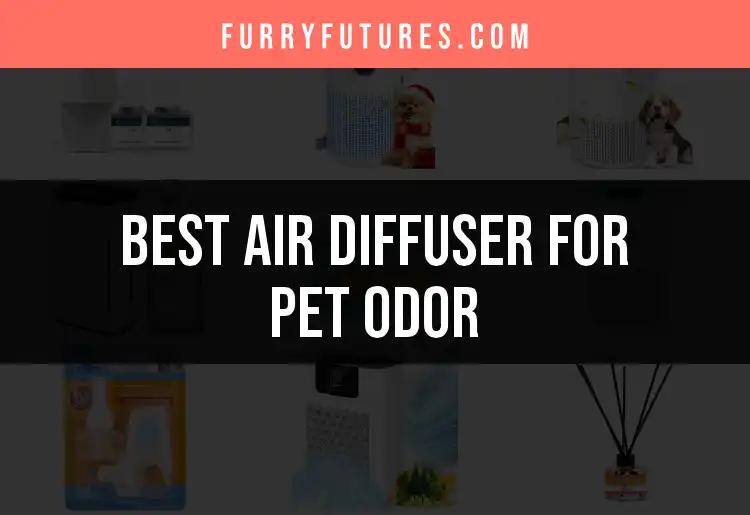 14 Best Air Diffusers for Pet Odor Relief