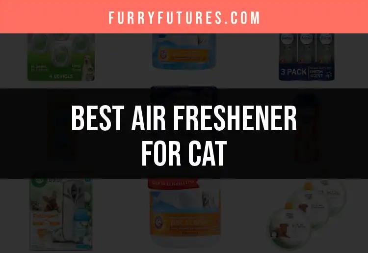 17 Best Air Fresheners for Cats to Keep Your Home Fresh