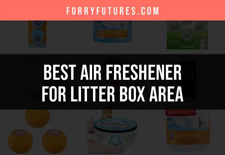 18 Best Air Fresheners For Litter Box Area Uncovered