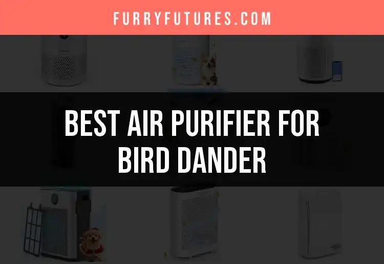 16 Best Air Purifiers for Bird Dander to Enhance Your Home