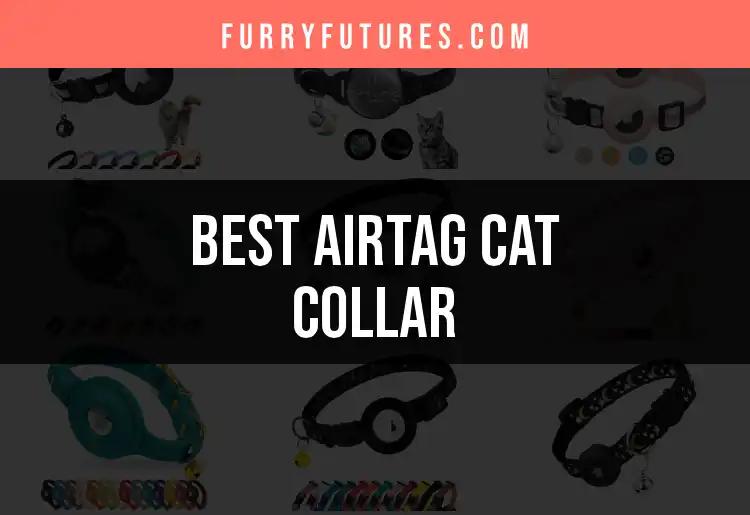 13 Best AirTag Cat Collars for Smart Tracking