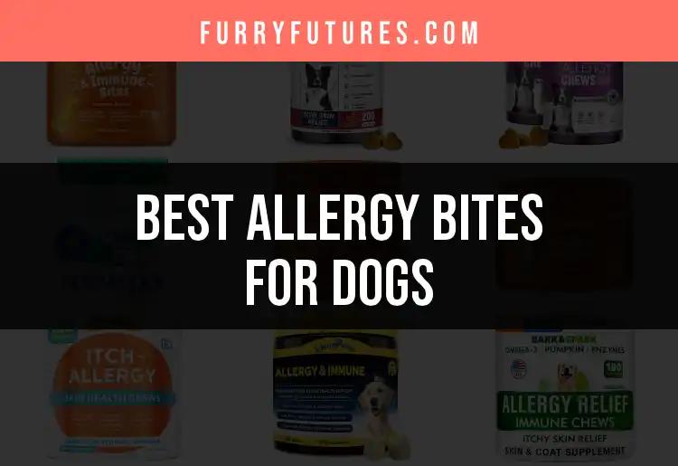 18 Best Allergy Bites for Dogs You Need to Try