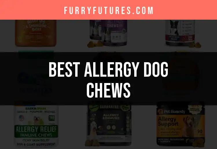 16 Allergy Dog Chews for Happy, Healthy Pups
