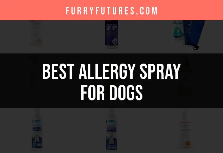 15 Best Allergy Sprays for Dogs to Soothe Your Pup