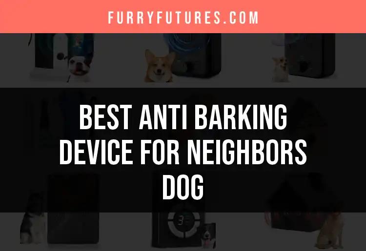 16 Best Anti Barking Devices for Your Neighbor's Dog