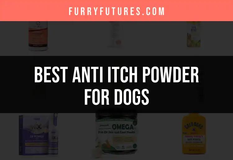 18 Best Anti Itch Powders for Dogs to Soothe Your Pup
