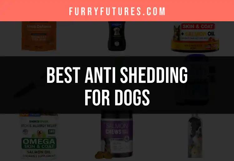 18 Best Anti Shedding Products for Dogs You Need to Try