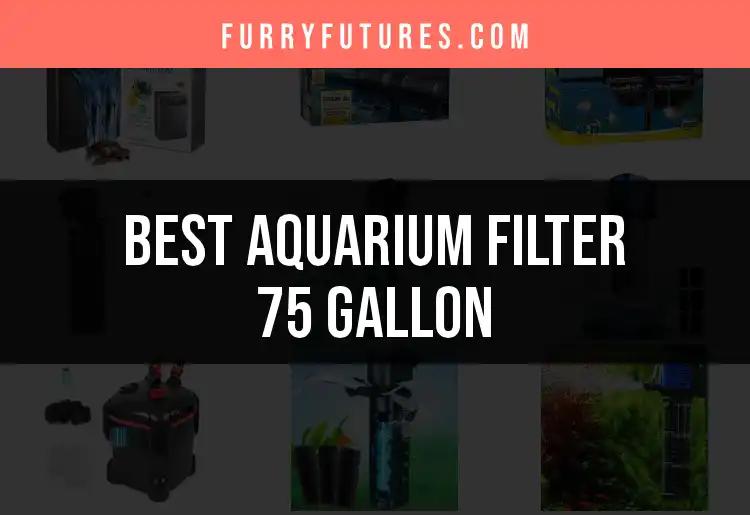 16 Best Aquarium Filters for 75 Gallon Tanks Reviewed