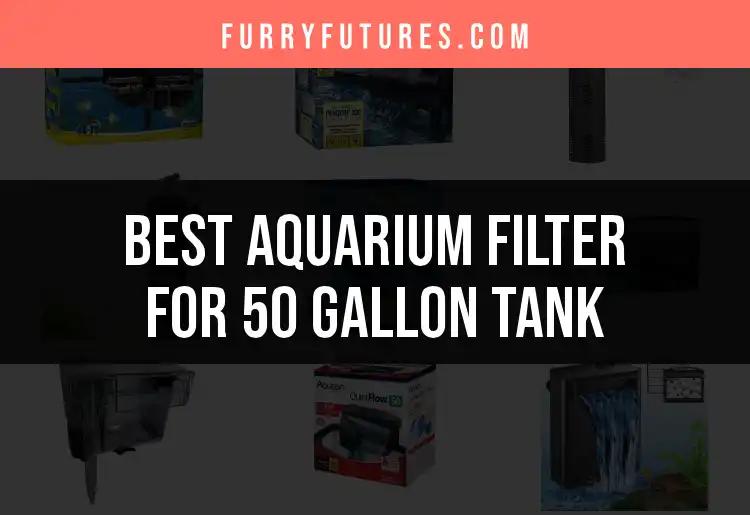 15 Best Aquarium Filters for 50 Gallon Tanks Revealed
