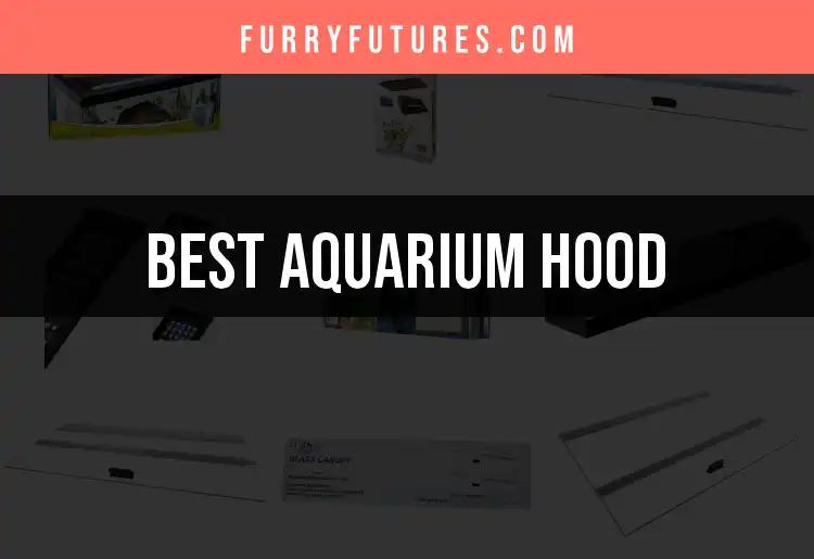 11 Best Aquarium Hoods for Every Aquarist's Dream Setup