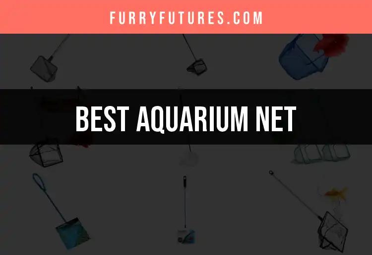 Top 10 Aquarium Nets to Simplify Your Fish Care