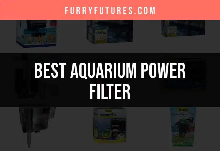 16 Top Aquarium Power Filters for Crystal Clear Water