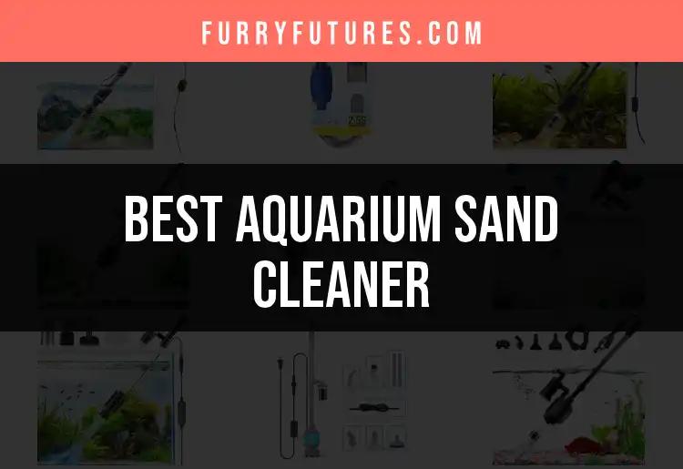 16 Best Aquarium Sand Cleaners for Crystal Clear Tanks