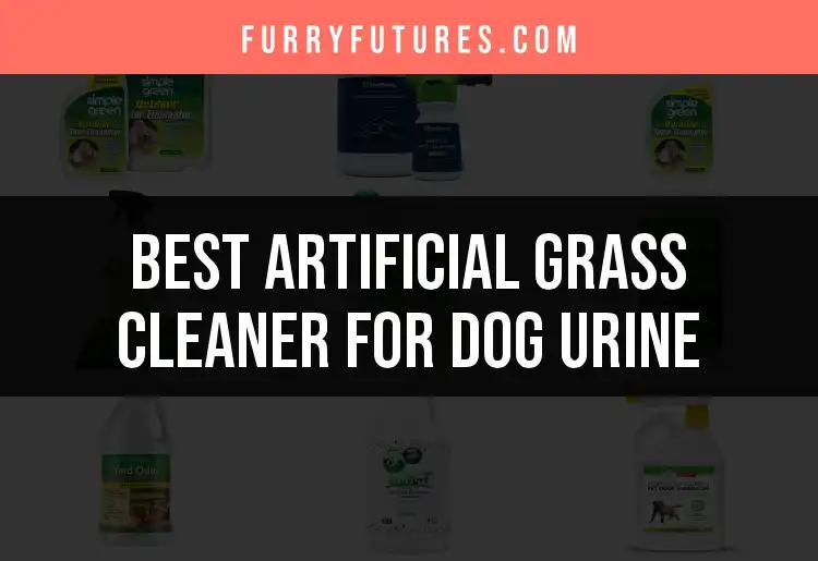 14 Best Artificial Grass Cleaners For Dog Urine You Need