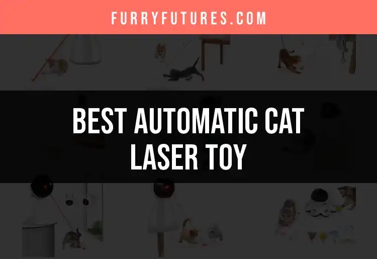 12 Top Automatic Cat Laser Toys for Endless Fun