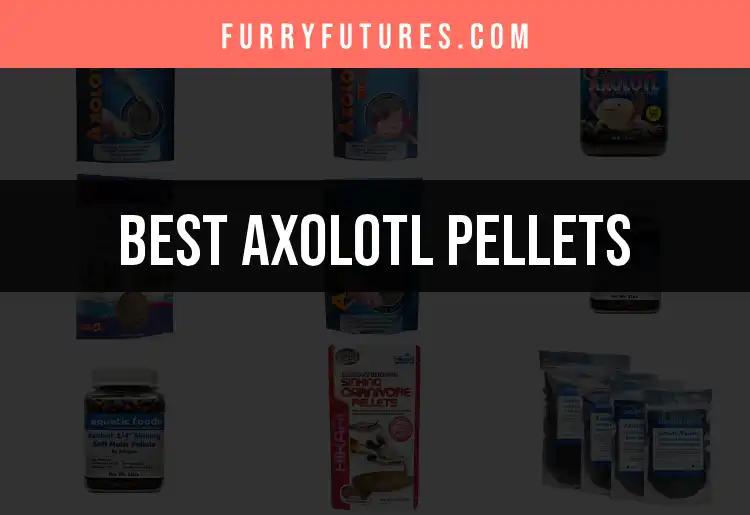 Top 10 Axolotl Pellets for Happy, Healthy Pets