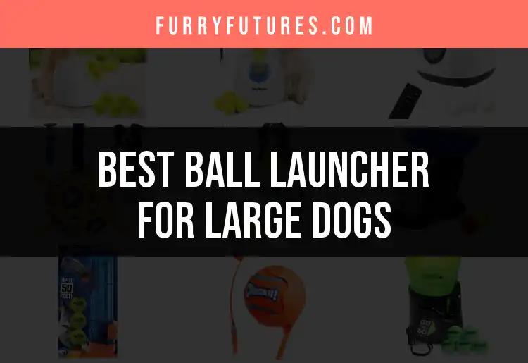 15 Best Ball Launchers for Large Dogs to Keep Them Active
