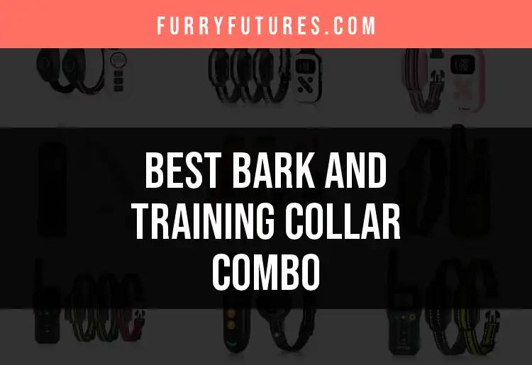 11 Best Bark and Training Collar Combos for Your Pup