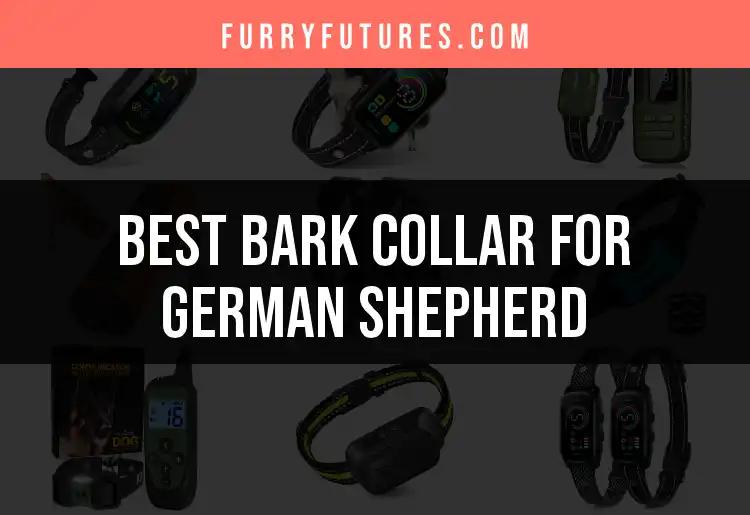 18 Best Bark Collars for Your German Shepherd