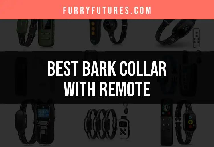 18 Best Bark Collars With Remote For Your Fur Baby