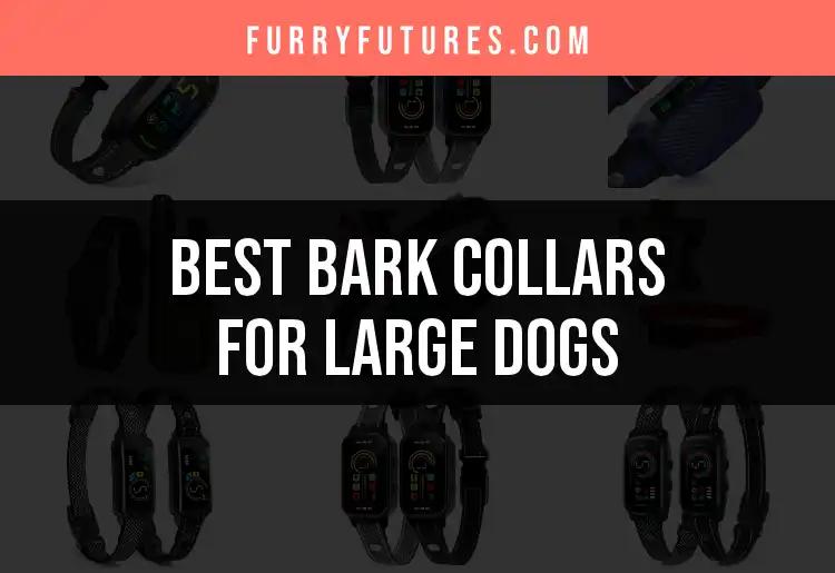 17 Best Bark Collars for Large Dogs: Find Your Perfect Match