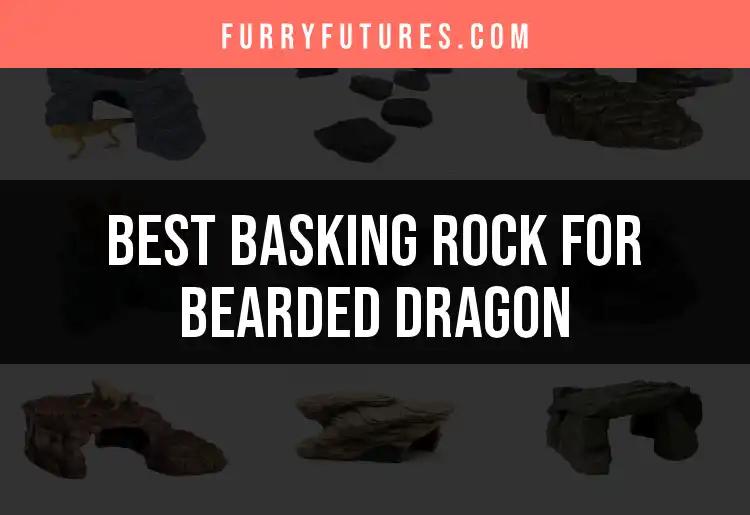 Top 10 Basking Rocks for Bearded Dragons You'll Love