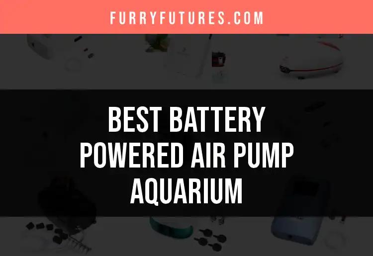 Top 10 Battery Powered Air Pumps for Your Aquarium