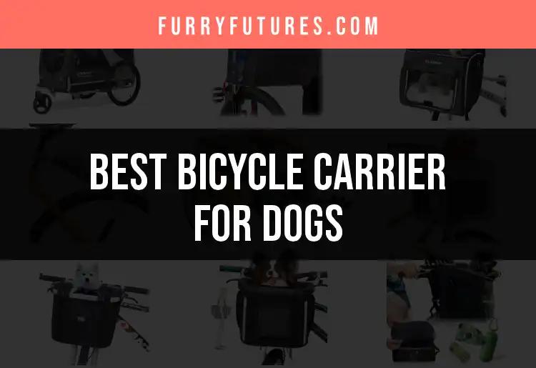 11 Best Bicycle Carriers for Dogs: Top Picks for Adventurers