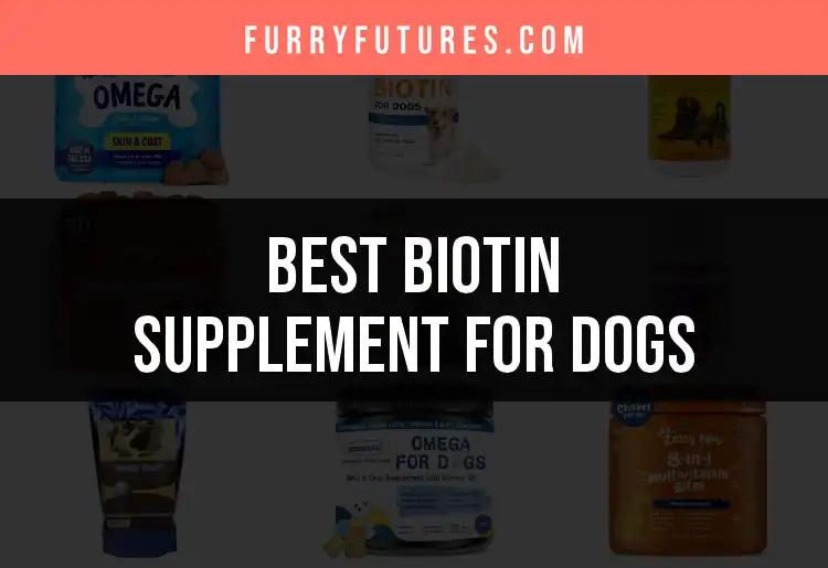 13 Best Biotin Supplements for Dogs to Boost Their Health