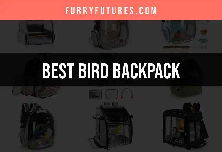 Top 10 Bird Backpacks for Adventurous Pet Owners