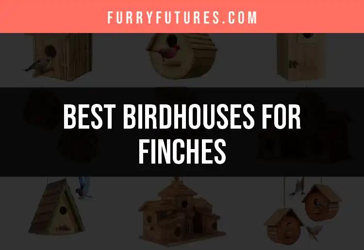Top 10 Birdhouses for Finches: Nesting Made Easy
