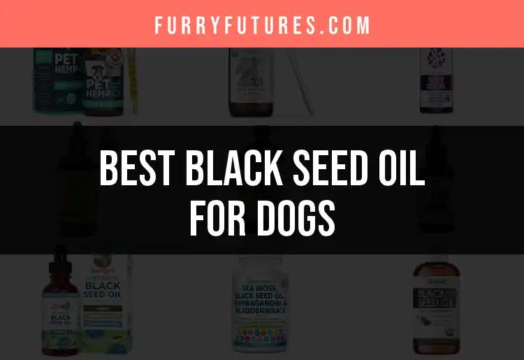 16 Best Black Seed Oil for Dogs: Top Picks Reviewed