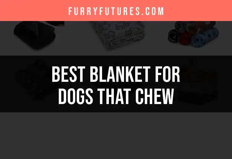 13 Best Blankets for Dogs That Chew: Finding Toughness and Comfort