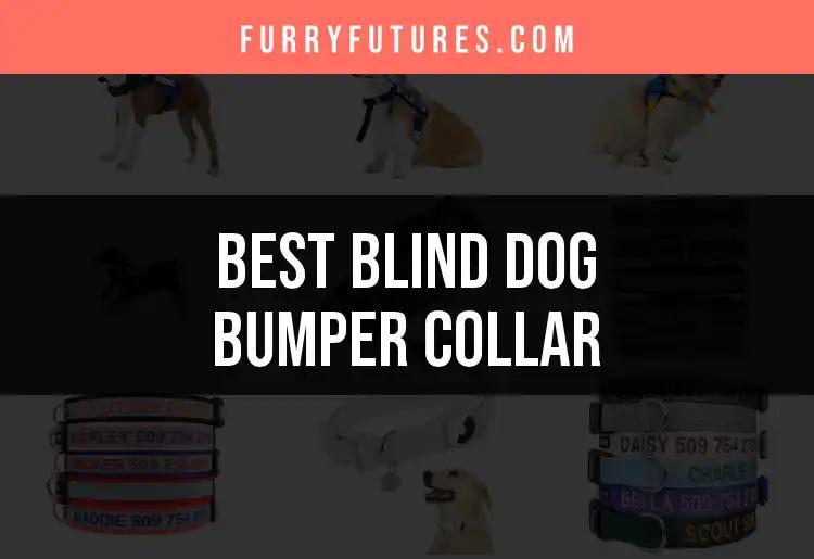 13 Best Blind Dog Bumper Collars for Tail-Wagging Safety