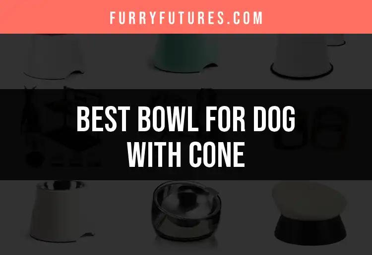 13 Best Bowls for Dogs with Cones: Effortless Feeding Solutions