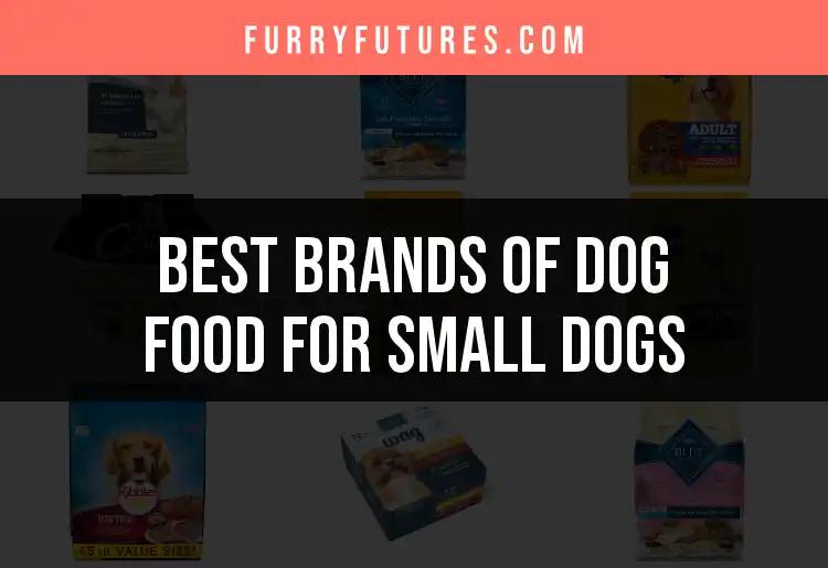 14 Best Brands of Dog Food for Small Dogs You Should Try