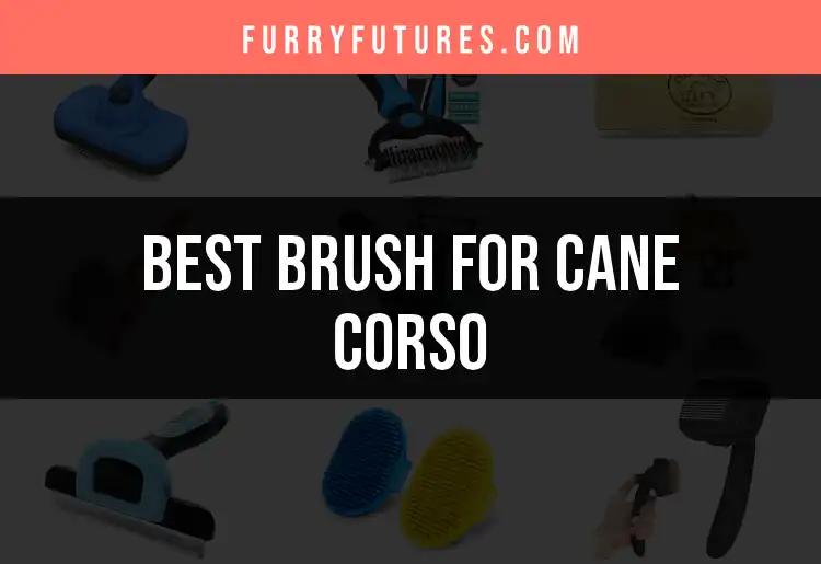 18 Must-Have Brushes for Your Cane Corso