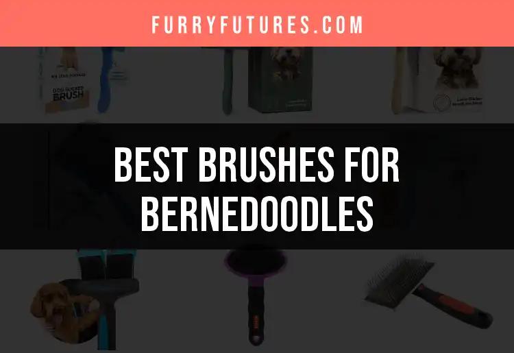 16 Best Brushes for Bernedoodles: Our Top Picks Reviewed