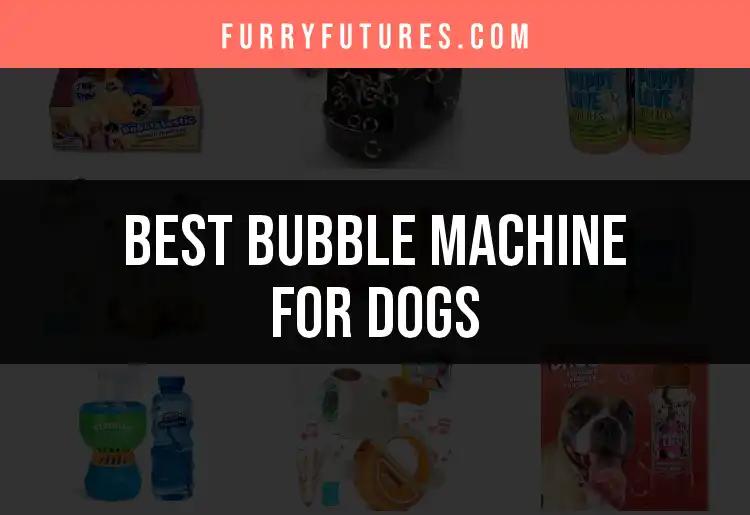 14 Best Bubble Machines for Dogs: Playful Paws Await
