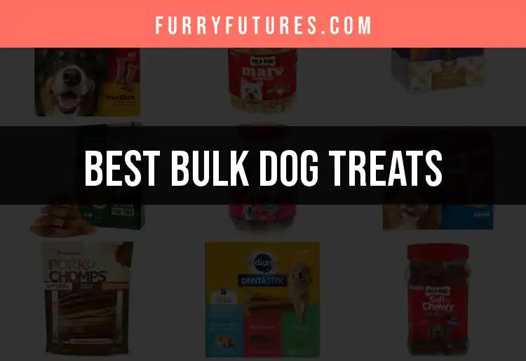 18 Bulk Dog Treats That Will Make Tails Wag