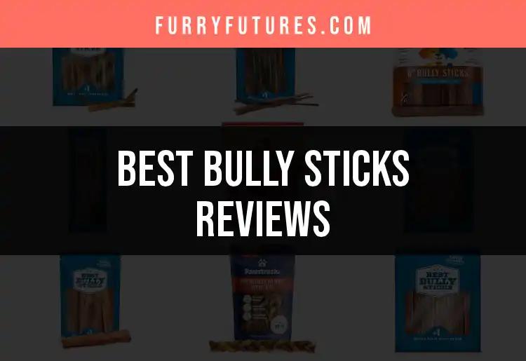 14 Essential Bully Sticks Reviews for Happy Pups