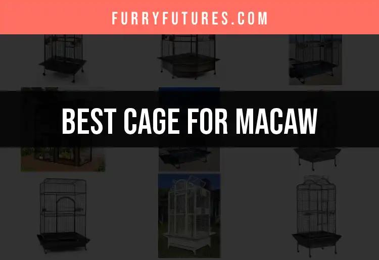 13 Best Cages for Macaws: Top Picks for Happy Birds