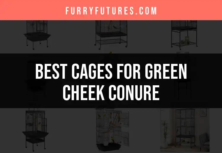 14 Best Cages for Green Cheek Conure: Top Picks Revealed