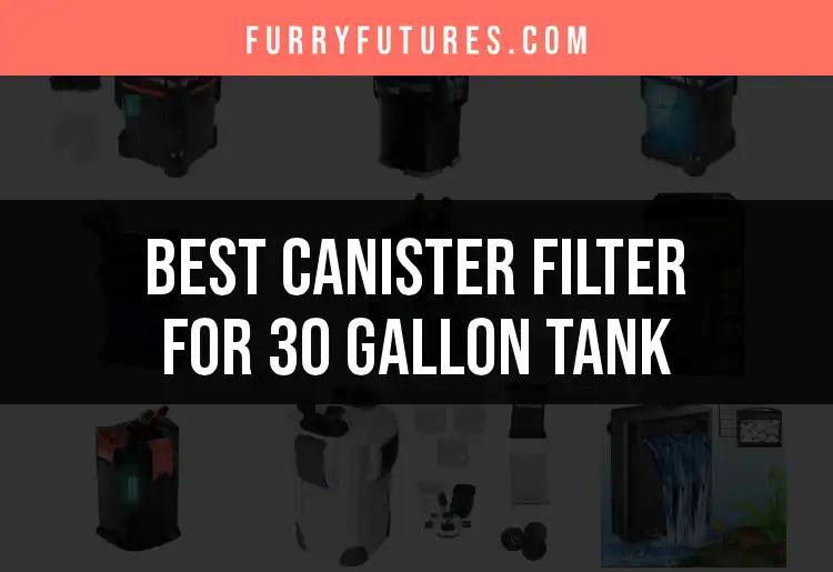 13 Best Canister Filters for a 30 Gallon Tank