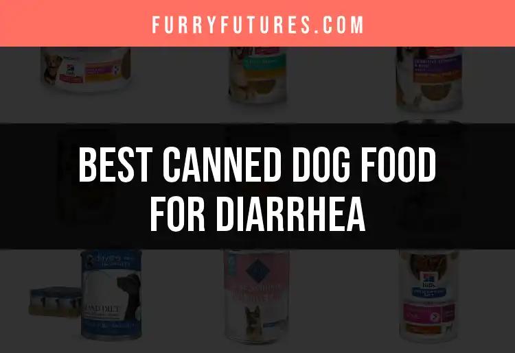 18 Best Canned Dog Foods for Diarrhea Relief