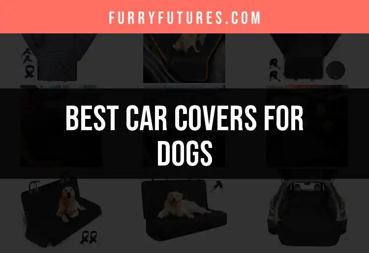 14 Essential Car Covers for Dogs You Must Consider