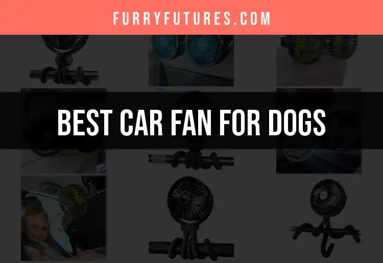 13 Best Car Fans for Dogs to Keep Your Pup Cool